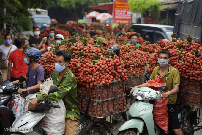 chc4942-jpg-1751102437-4951-1751102712 Mùa thu hoạch vải ở Bắc Giang. Ảnh: Ngọc Thành