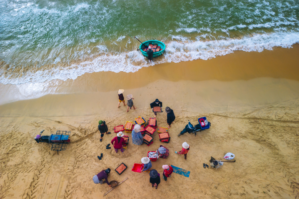 dji-0643-2-1750437627
