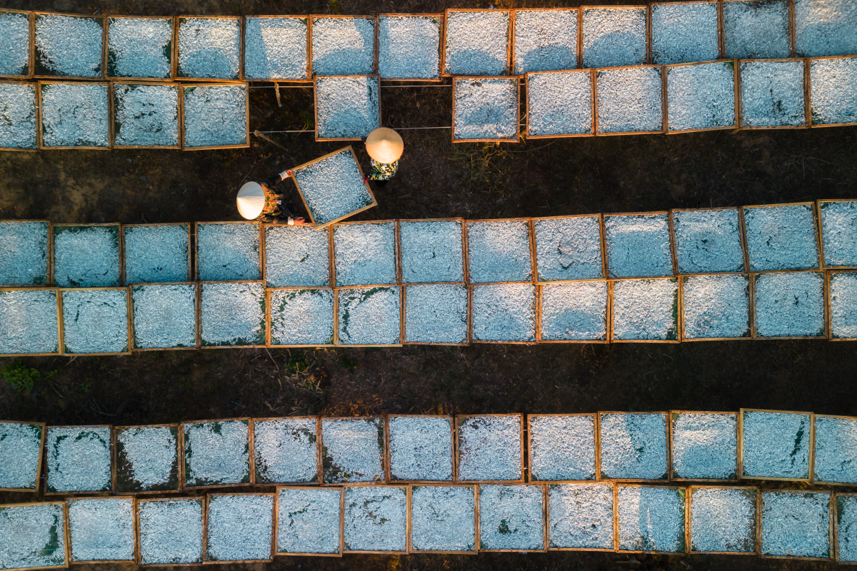 dji-0858-hdr-2-1750173744