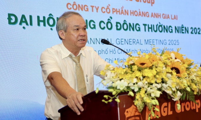 euro7561-jpg-1749701506-174970-3217-7524-1749701648 Ông Đoàn Nguyên Đức tại đại hội cổ đông thường niên 2025. Ảnh: HAG