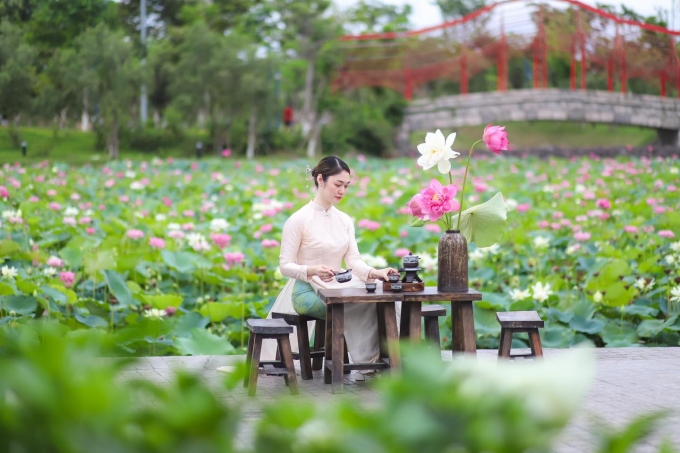 ho-sen-cong-vien-rong-sun-worl-1954-8173-1750732407 Hồ sen nở rộ tại Sun World Ha Long. Ảnh: Sun Group