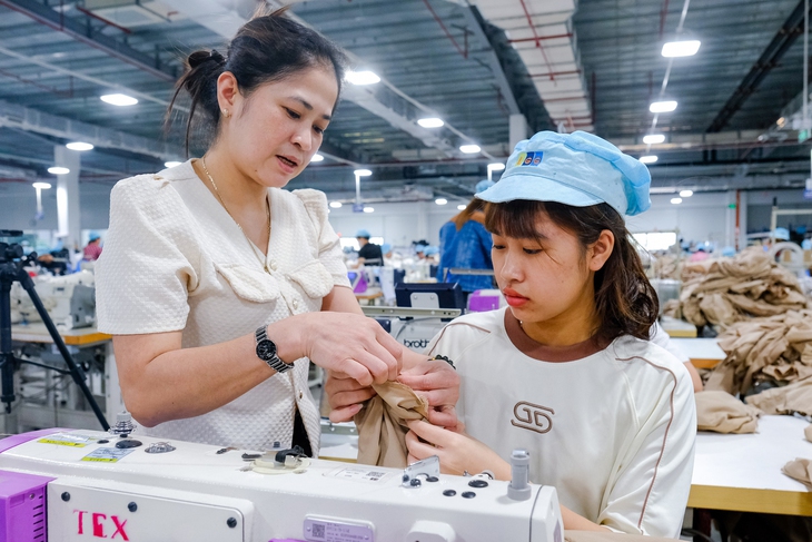 hq-anh-1-bai-1a-read-only-175008563227427787280 lao động - Ảnh 1.