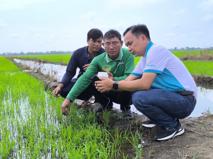 image-317752382-extractword-2-6709-7095-1750926339 Chuyên gia nông học của Phú Mỹ hướng dẫn người nông dân đo nồng độ dinh dưỡng đất trên ruộng lúa. Ảnh: Phú Mỹ