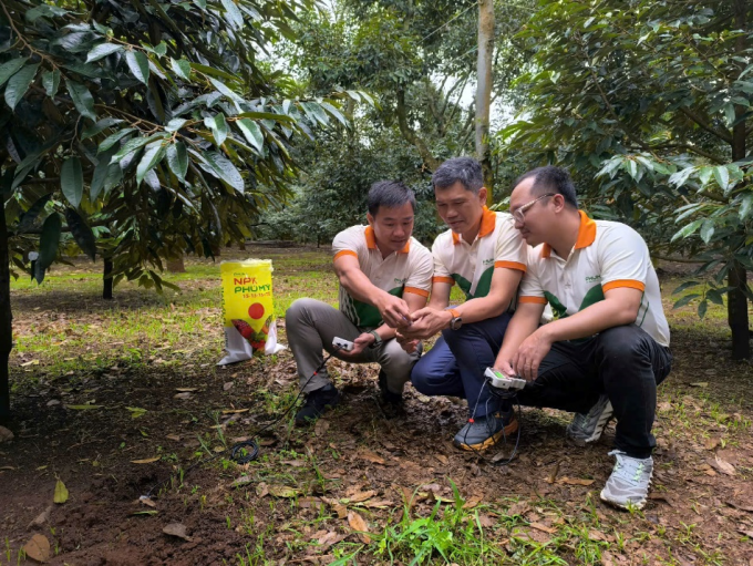 image-extractword-1-out-6781-1750414915 Phú Mỹ triển khai đo dinh dưỡng đất thông minh, ứng dụng công nghệ tiên tiến. Ảnh: Phú Mỹ