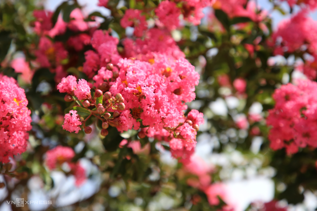 img-7889-1751099131