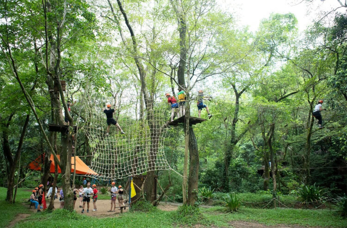 ozo1-1750301759-5370-1750304984 Trò chơi liên hoàn trên cây ở Ozo Park. Ảnh: Ozo