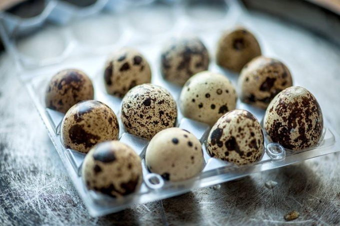 quail-eggs-1749536459-7449-1749536706 Trứng cút bổ dưỡng, song để tránh hóc nghẹn cho người già, trẻ em, cần cắt nhỏ khi ăn. Ảnh: To Table