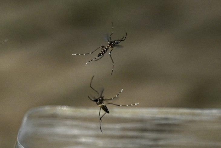 afp2024071034z92flv1highrescolombiahealthmosquitodengue-1752064233498660541233 virus - Ảnh 1.