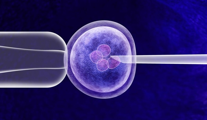difference-between-ivf-icsi-10-4422-3854-1752856988 Kỹ thuật IVF mới giúp trẻ em chào đời mang DNA của ba người. Ảnh: Fertility Academy