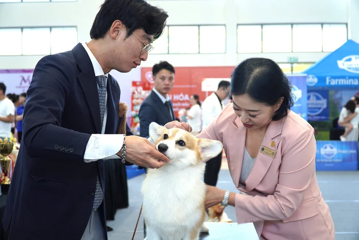 dsc07131-175239945543156890651 thú cưng - Ảnh 8.