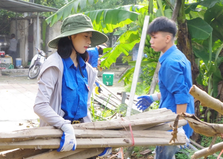 đường dây 500kV - Ảnh 3.