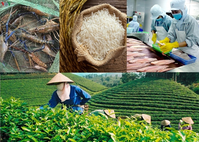 nsv-14142273-1 Ảnh minh họa. Nguồn: Internet.