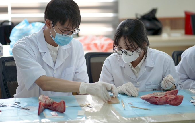 rhm-1753260469-1753260483-8109-1753260541 Sinh viên ngành Răng Hàm Mặt của trường Đại học Y Dược trong workshop về phẫu thuật trong miệng, giữa tháng 5. Ảnh: LCĐ Răng Hàm Mặt