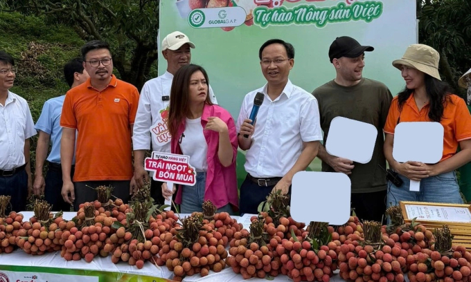 s714636068-n-1751339809-4629-1-2050-1163-1752781679 Ông Phạm Văn Thịnh (thứ 3 phải sang) tham gia phiên livestream hôm 29/6. Ảnh:Nhân vật cung cấp