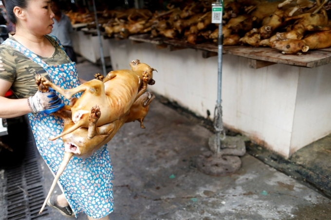 tai-xuong-jpeg-1753493275-5625-1753494107 Bên trong lễ hội thịt chó Ngọc Lâm. Ảnh: Reuters