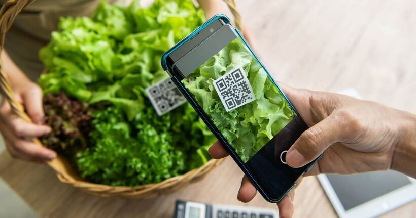 temtruyxuat-11261436 Ảnh minh họa. Nguồn: Internet.
