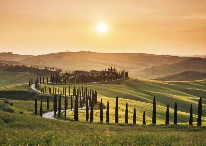 tuscany-jpeg-1751330841-5861-1751331705 Mùa hè ở vùng nông thôn Tuscany (Italy). Ảnh: Trípavvy