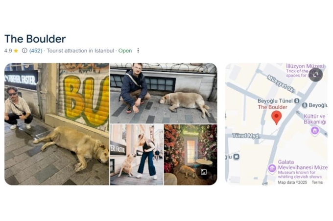 viral-fame-makes-stray-dog-the-3737-9922-1753506091 Google Maps hiển thị vị trí của chú chó với hơn 450 lượt đánh giá và xếp hạng trung bình 4,9 sao. Ảnh: Instagram/@theboulderistanbul.