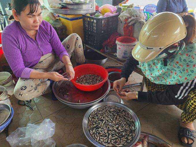 z6851712451743-d4d3b036d783038-5063-2026-1753760193 Tiểu thương chợ Mỹ Phú làm sạch cá linh non, giá bán 200.000 đồng mỗi kg. Ảnh: Ngọc Tài