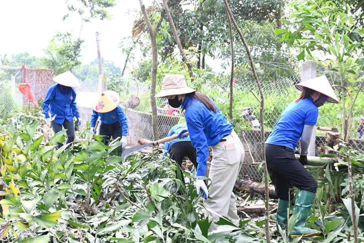 đường dây 500kV - Ảnh 4.