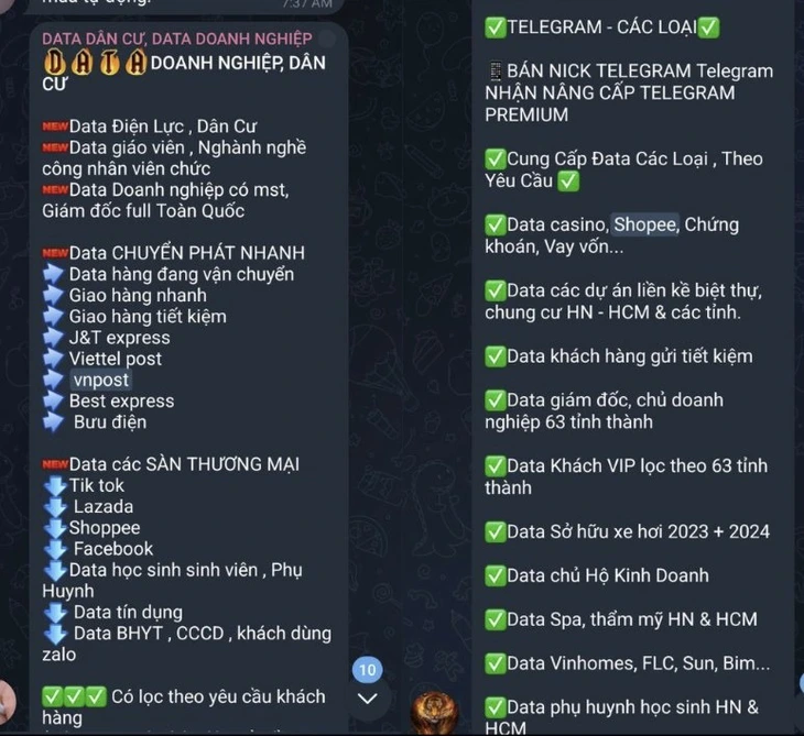 thông tin - Ảnh 1.