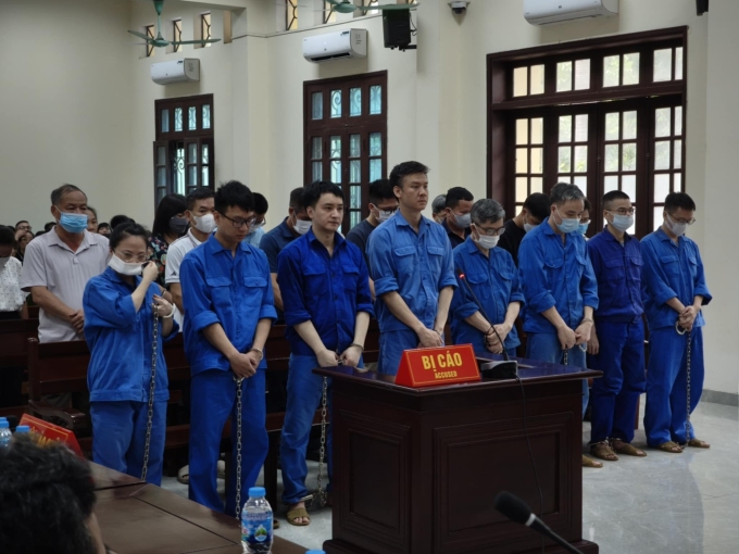 can-bo-hai-quan-ra-toa-1754449-2383-3036-1754449155 Trong 22 bị cáo có 14 người là cựu cán bộ hải quan tại Hải Phòng. Ảnh: Lê Tân
