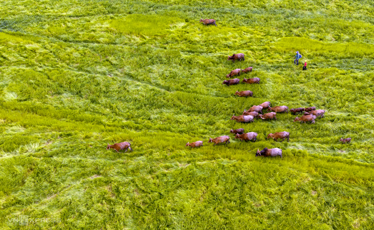 dji-20250725160407-0147-d-copy_1754728682-1754729383