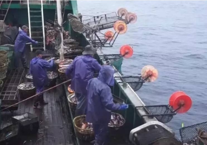 download-3-1754654134-9473-1754654613 Thuyền viên trên tàu câu mực đại dương. Ảnh minh họa