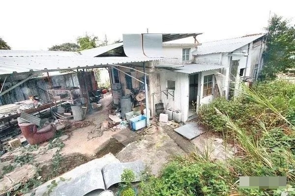 download-3-1755260193-4004-1755260255 Những con chó hoang hàng ngày bị nhốt trong căn nhà tôn không có khóa ở bên trái hình. Nơi này ban đầu là trạm tái chế phế liệu. Căn nhà cấp bốn ở bên phải là nơi ở của gia đình bốn người, vốn là chuồng heo. Sau khi chủ cũ bán trạm tái chế và chuồng heo, tất cả nhà đất trong hình đều thuộc về gia đình họ Đàm.
