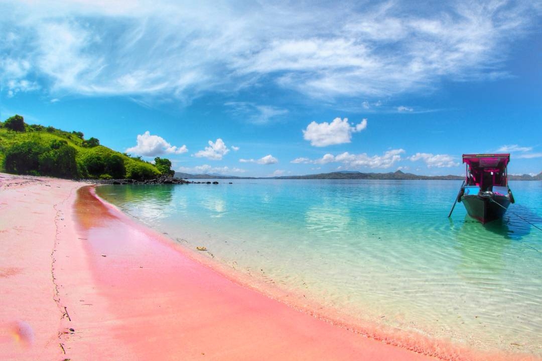 fe0ed-pink-beach-1-1755136303