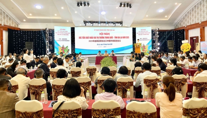 h-1755503173-2217-1755503281 Toàn cảnh hội nghị. Ảnh: UBND tỉnh Gia Lai