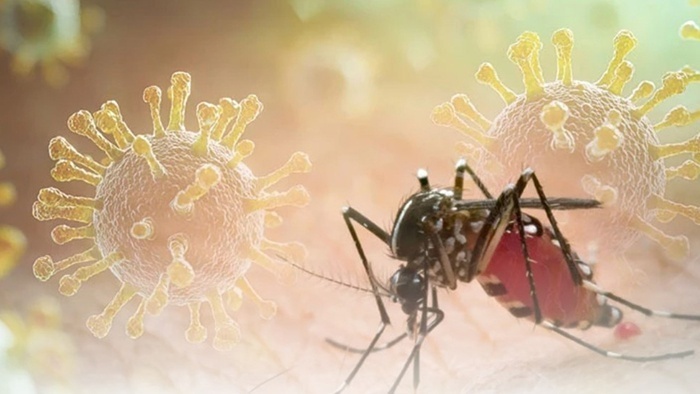 hieu-ve-virus-chikungunya-giua-luc-dich-lan-rong-tai-trung-quoc11754797163-10302824-1 Ảnh minh họa. Nguồn: Internet.