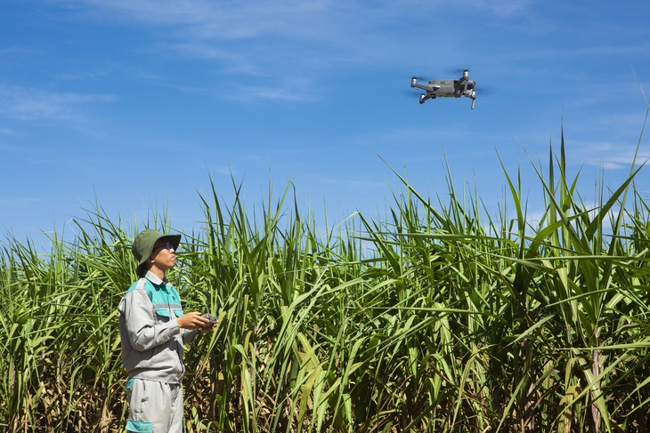 imgl0100-1-copy-17551650239691365640068 AgriS kết nối Tây Ninh - Queensland, thúc đẩy liên kết '5 nhà' - Ảnh 4.