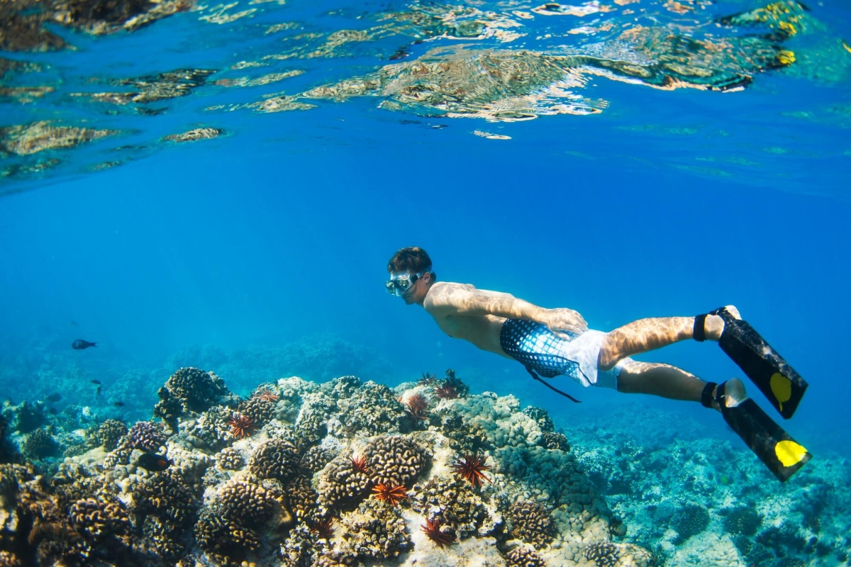 snorkeling-underwater-1755136267
