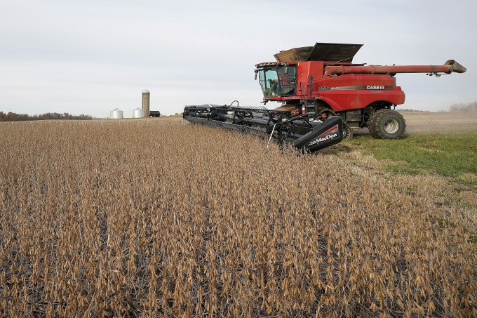 us-soybean-1754900145-17549002-8925-2200-1754900362 Thu hoạch đậu tương ở Roachdale, Indiana (Mỹ). Ảnh: Reuters