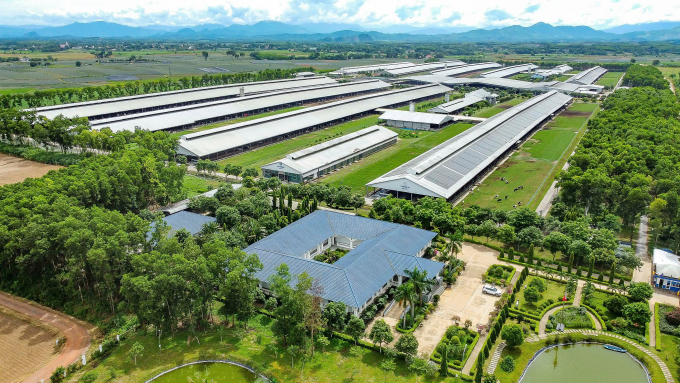 z6909981505288-8e9c572840e4b27-1286-3814-1755247322 Hệ thống trang trại của Vinamilk. Ảnh: Minh Anh